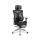 Fotel ergonomiczny Huzaro Expert 5.7 Black